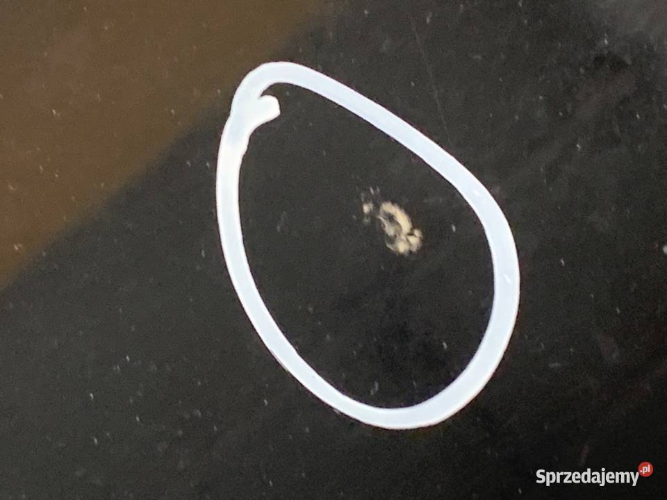 SPOILER TYŁ TOYOTA PRIUS II Hatchback 0309