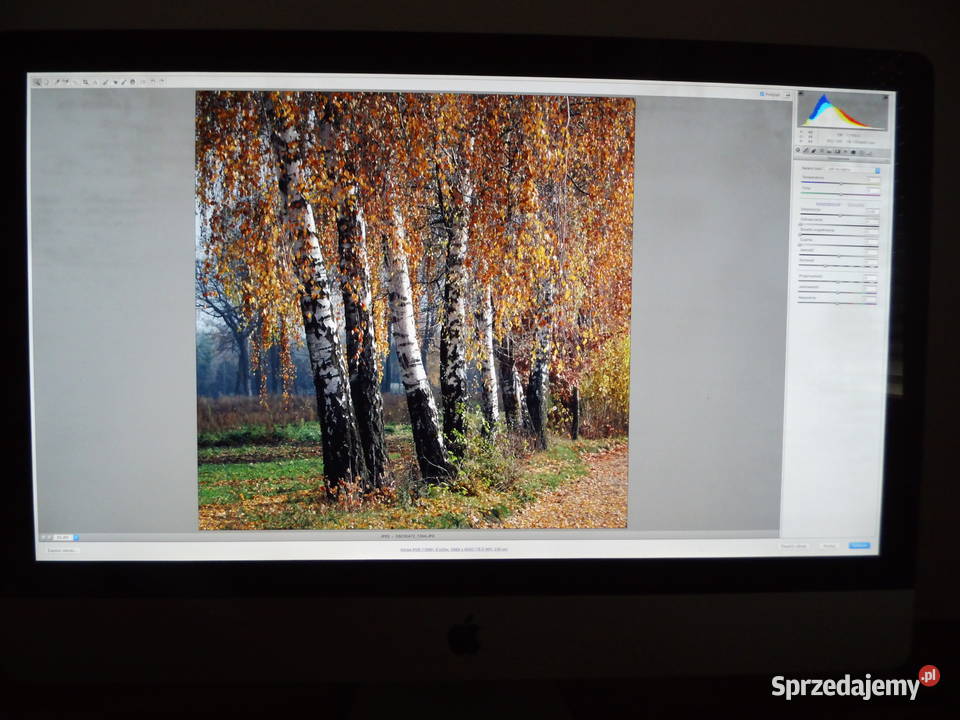 Apple iMac Core i5 27 27 Mysz oryginalna Pilot Klasy Core i5 wielkopolskie Radzewice