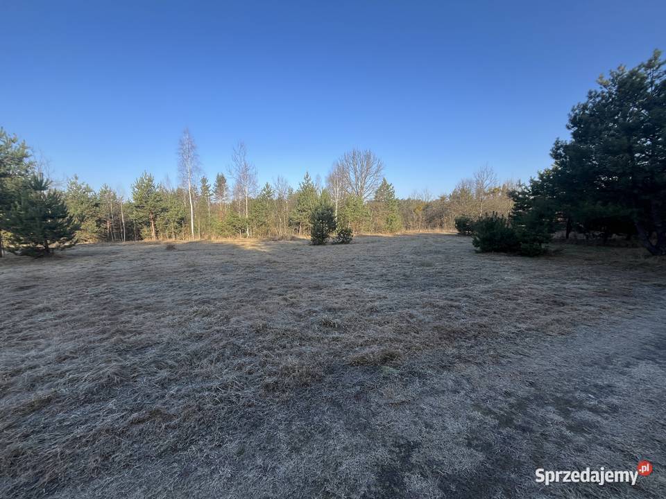 Poleski Park Narodowy Działka 15 ar Jezioro 1500m2 Wytyczno sprzedam