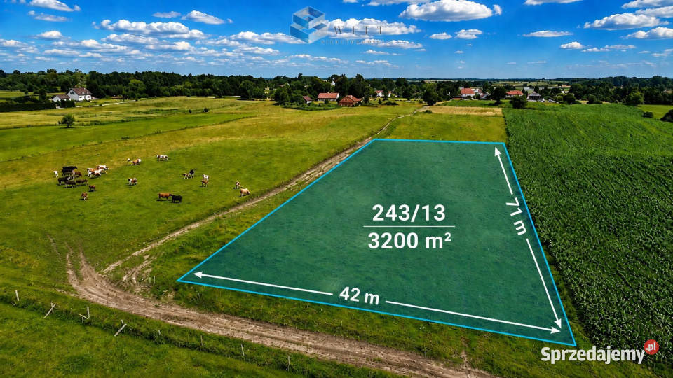 Działka 3200m2 Jurki sprzedam