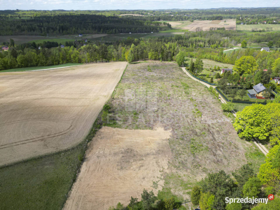 Sprzedam grunt Podjazy 1000m2