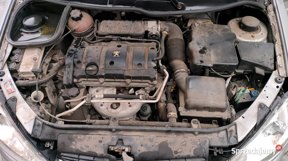 Peugeot 206 16 SW QUICKSILVER Sprawny Gniezno