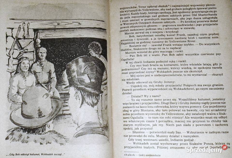 góry i prerie Old Shatterhand Karol May Chełm sprzedam