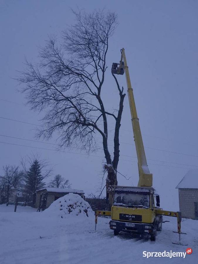 Wycinka drzew Tomaszów Lubelski