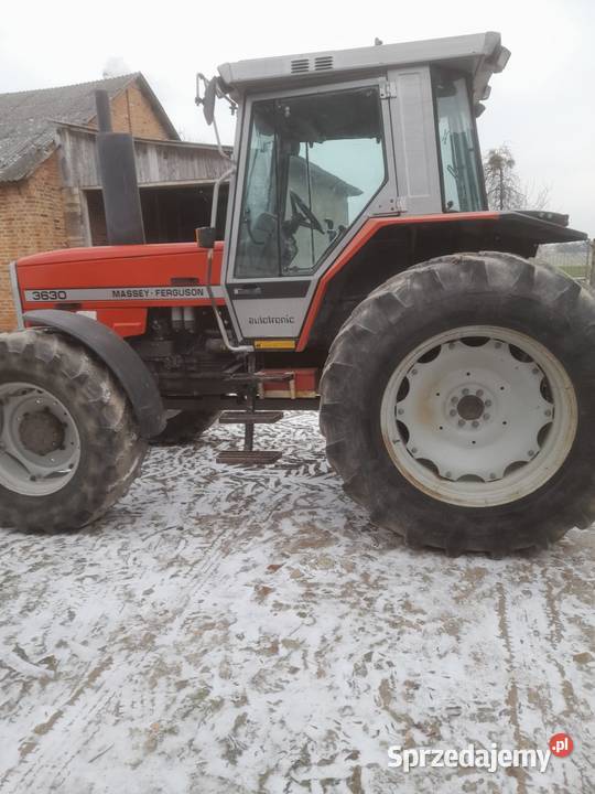 Massey Ferguson MF 3630 lubelskie Tokarówka sprzedam