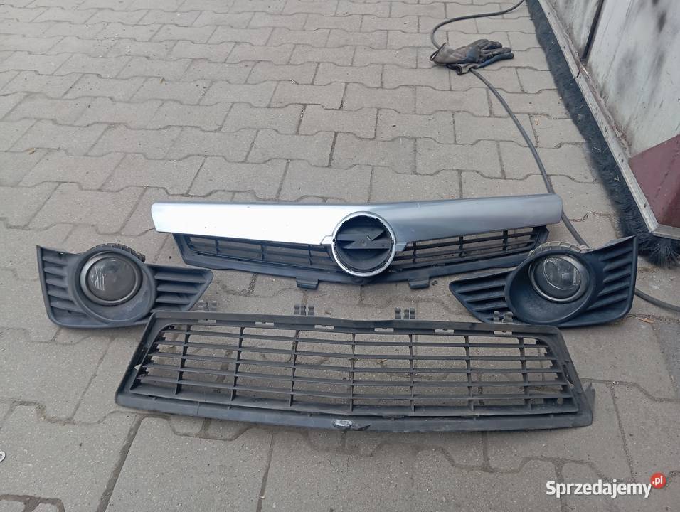 Części zderzaka tigra Trzebieszowice