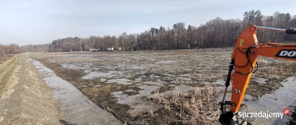 Staw o powierzchni 2 50 ha