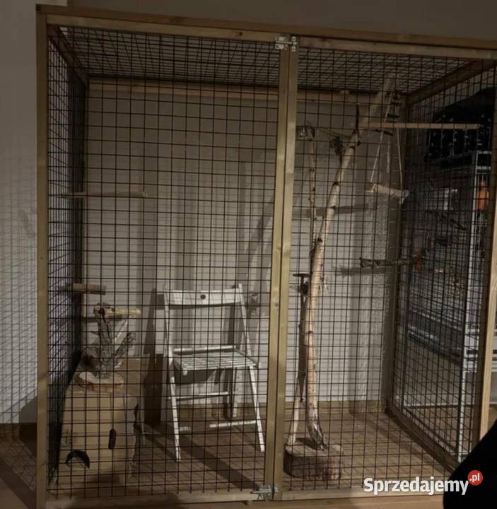 Sprzedam papugi amazonki mazowieckie Warszawa sprzedam