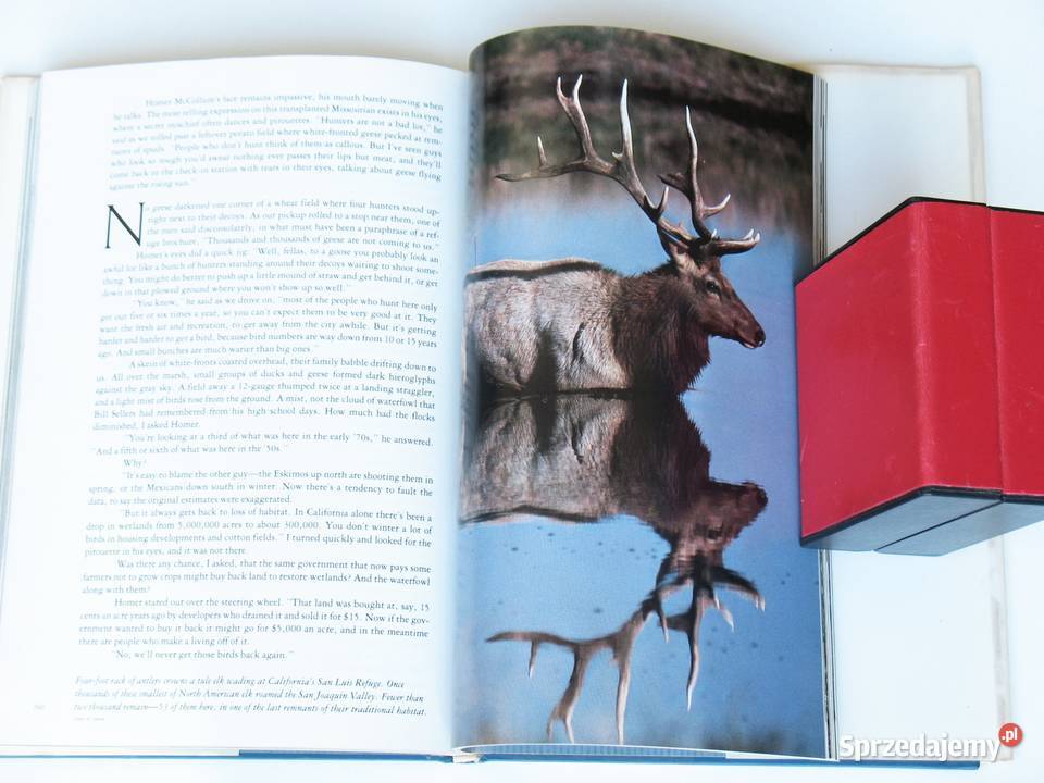 Wild Lands for Wildlife Americas National Kraków