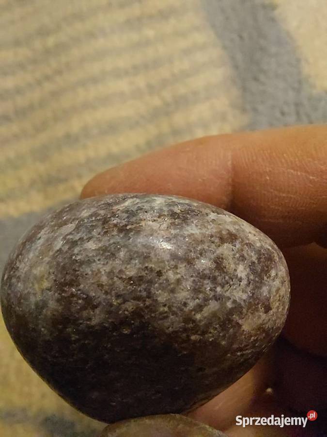 Palm stone Węgorzyno