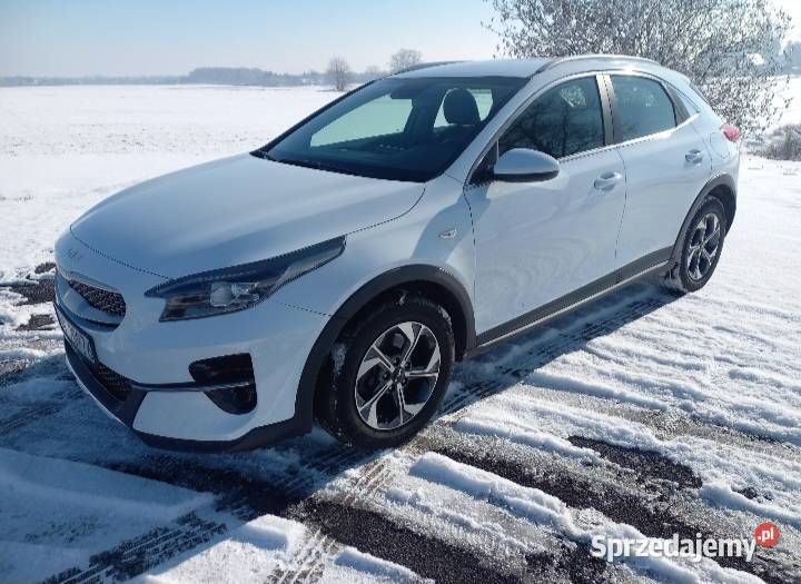 Kia Xceed 15 benzyna 160 koni 34000km Olszanica
