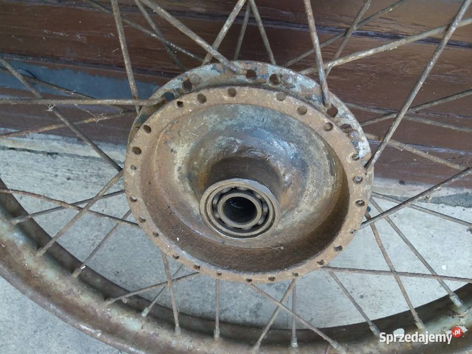 Koło shl 05 04 sokół wfm Lisew