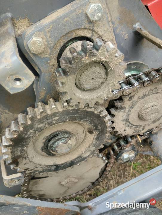 Prasa Belujaca feraboli mazowieckie Radom sprzedam