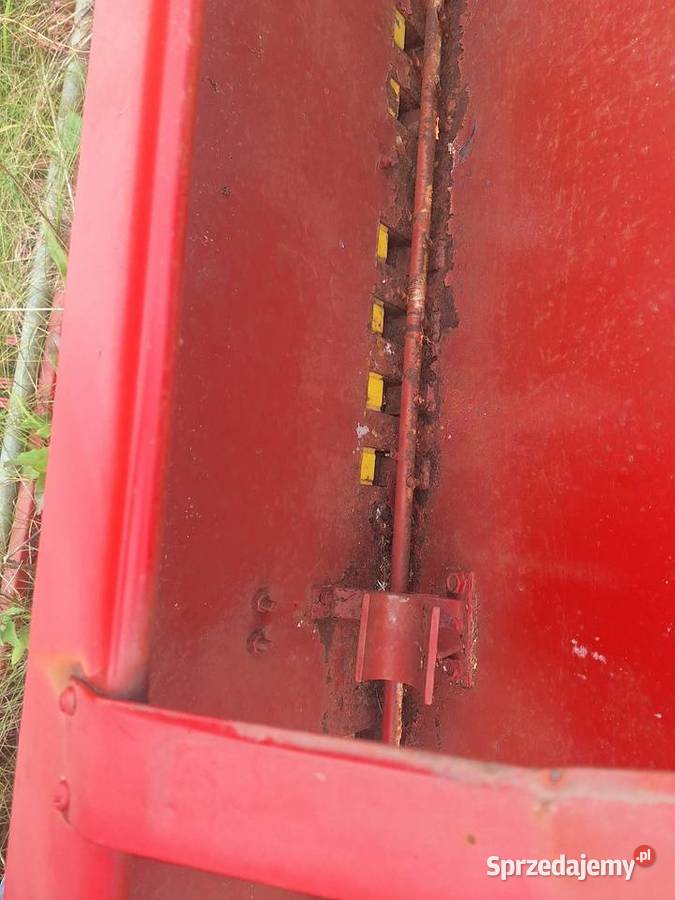 Siewnik Poznaniak Kętrzyn