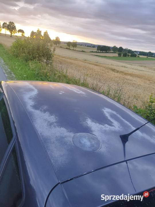 Seat altea Baćkowice