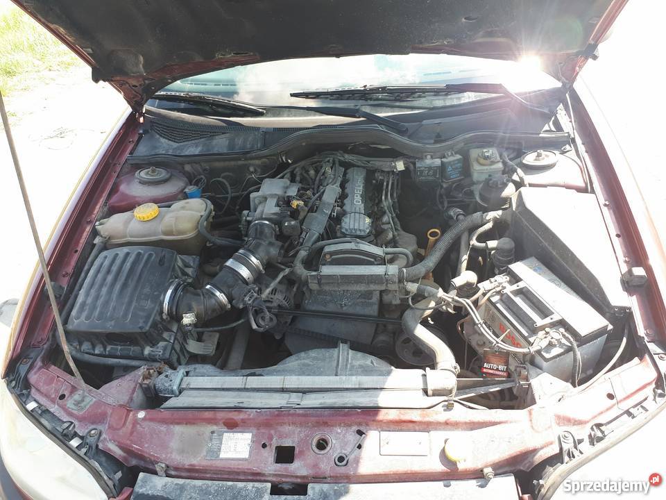 Opel Omega 20 8v Małogoszcz