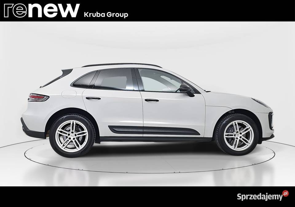 Macan mazowieckie