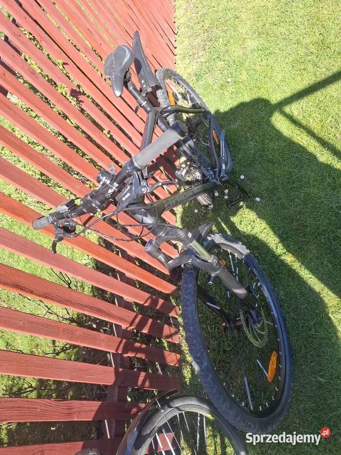 Rowery miejskie i mtb Miejskie Bielawa