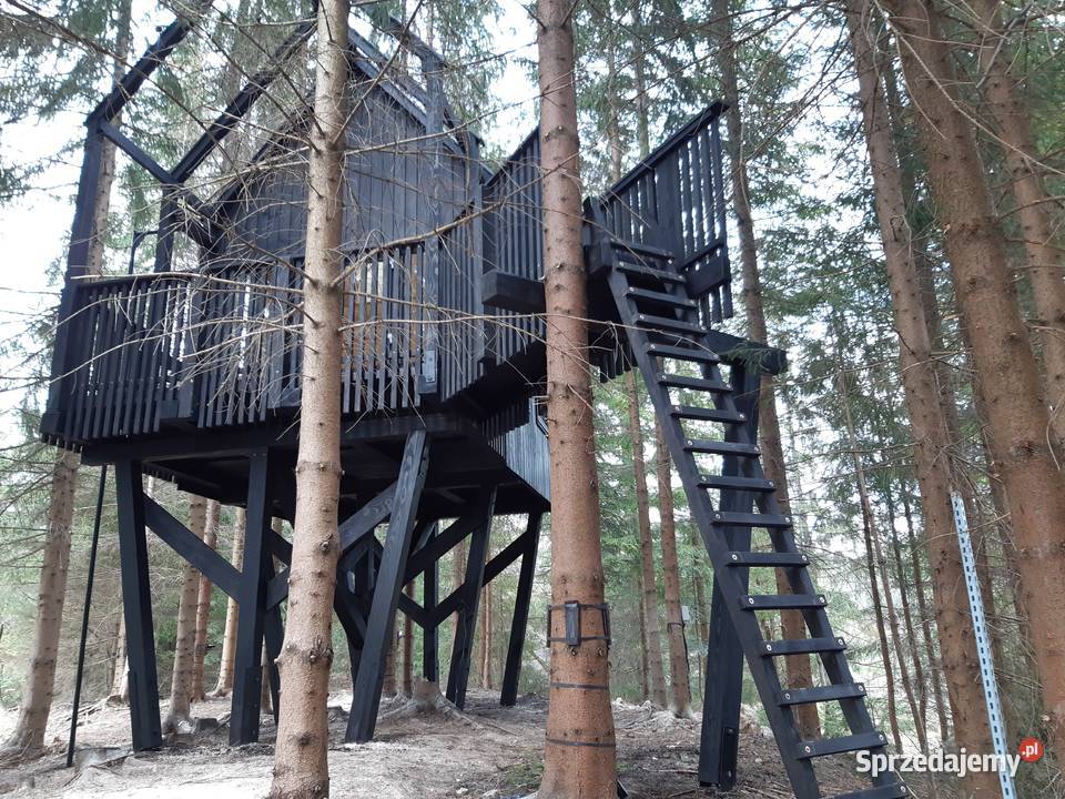 Domek na drzewie 04 Przemyśl