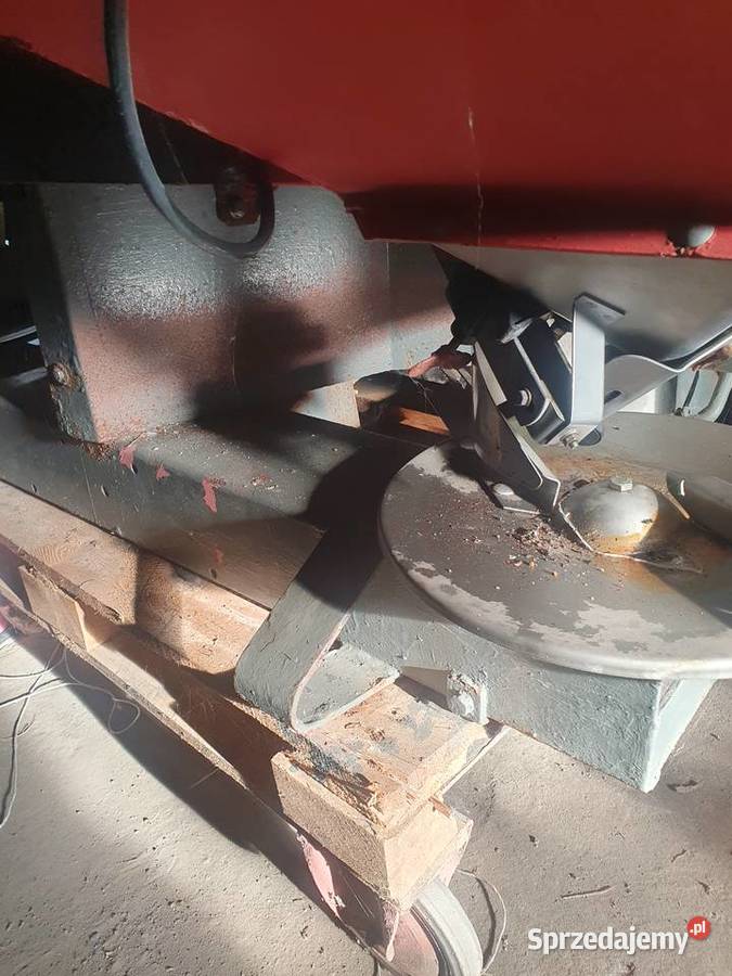 Roger Sulki Dobrzejewice