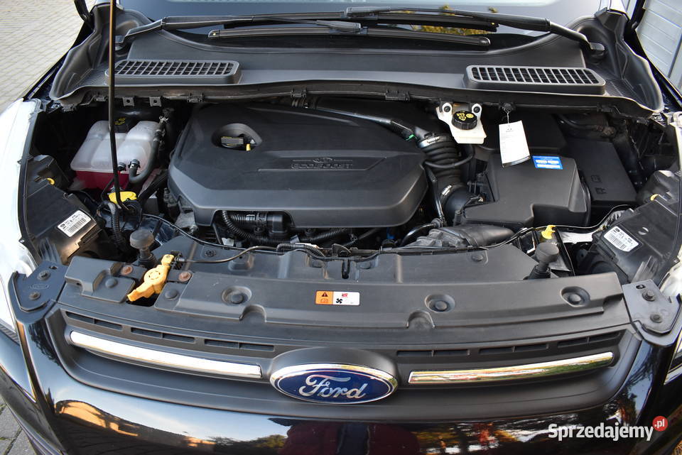 PIEKNA NOWA16 benz Podg Fotele i szyby Elklapa relingi dachowe Ford Moczyłki sprzedam