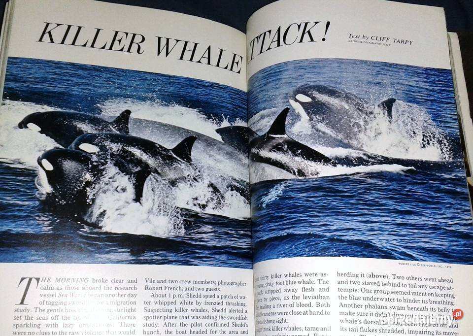 National Geographic Vol 155 Number 4 April 1979 Chełm