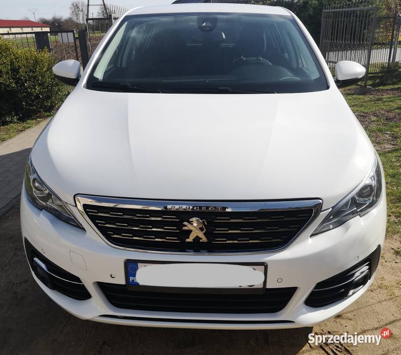 Peugeot 308 t9 2019 ABS Ryki