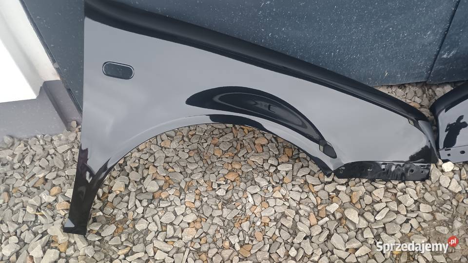 Błotniki golf 4 lc9z podkarpackie Jasło
