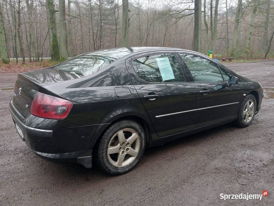 Peugeot 407 20 hdi Dłutów