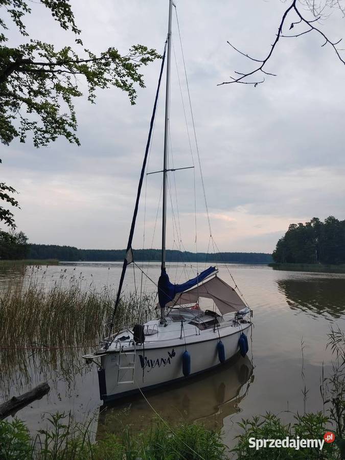 Focus 650 jacht silnik Tohatsu i przyczepa Tema Żeglarstwo