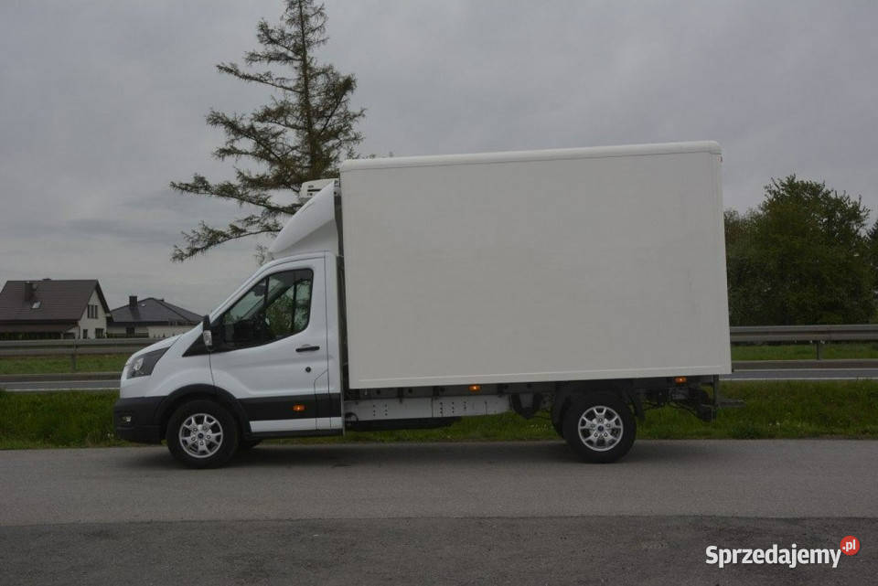 Ford Transit 20EcoBlue automat chłodnia izoterma biały