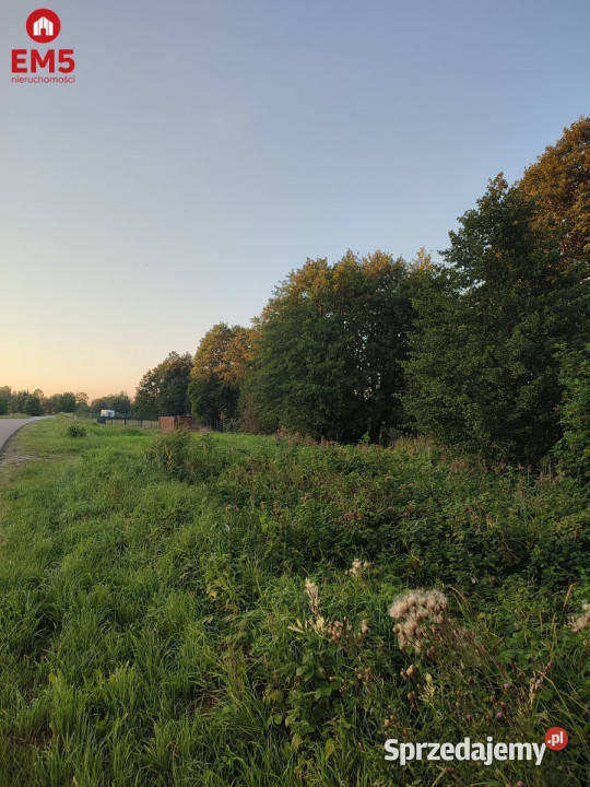 sprzedaży działki Krejwińce 217m2