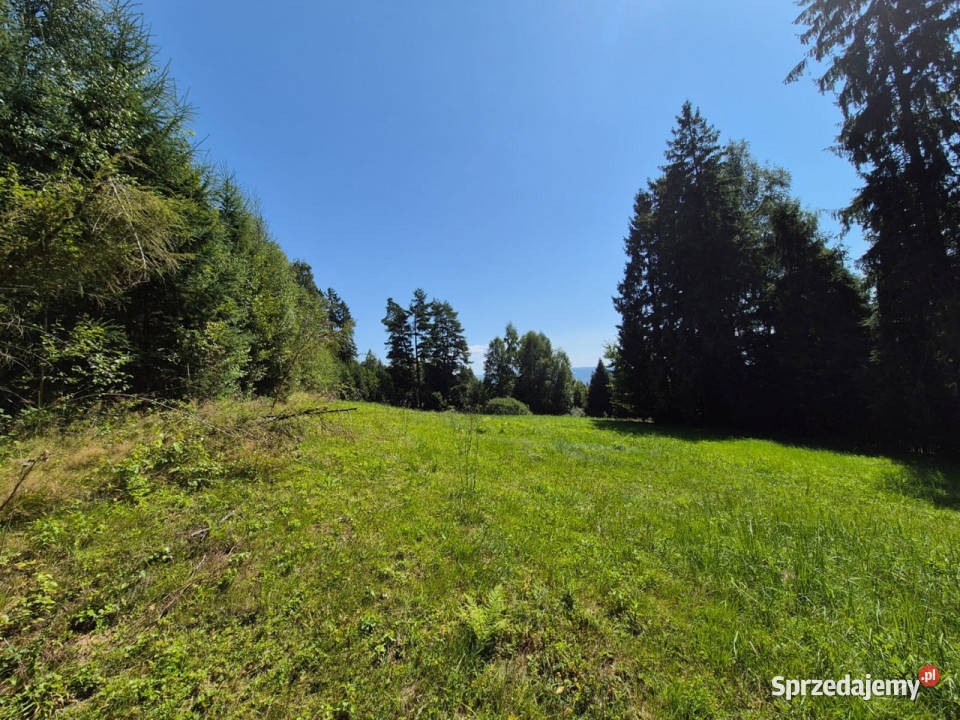 Działka budowlana z widokiem na Tatry Naprawa małopolskie