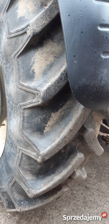 Zetor Proxima 8441 nieuszkodzony Turek sprzedam