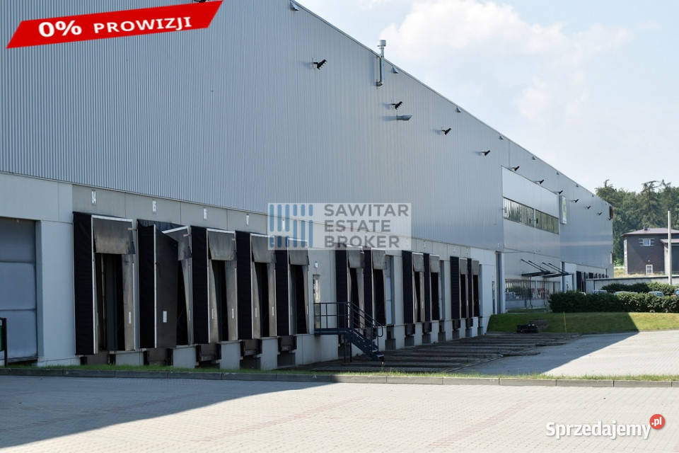 Hala pod produkcję bez prowizji Stryków