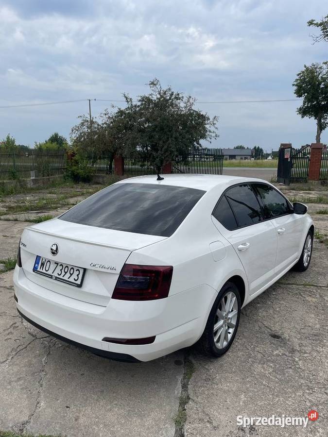 koda Octavia III 18tsi DSG 2015 mazowieckie Ostrołęka