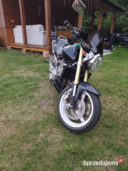 Sprzedam honda hornet 600 pc 35 Ruda-Huta