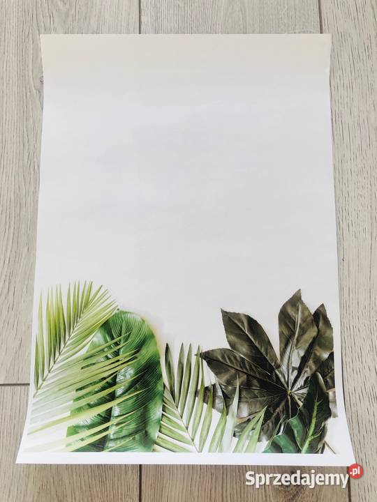 Plakat liście zielony tropikalny natura 42 x 30 Łódź sprzedam