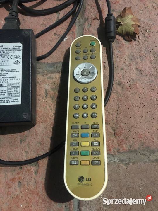 TV MONITOR Flatron RZ17LZ10 Koreański Poznań