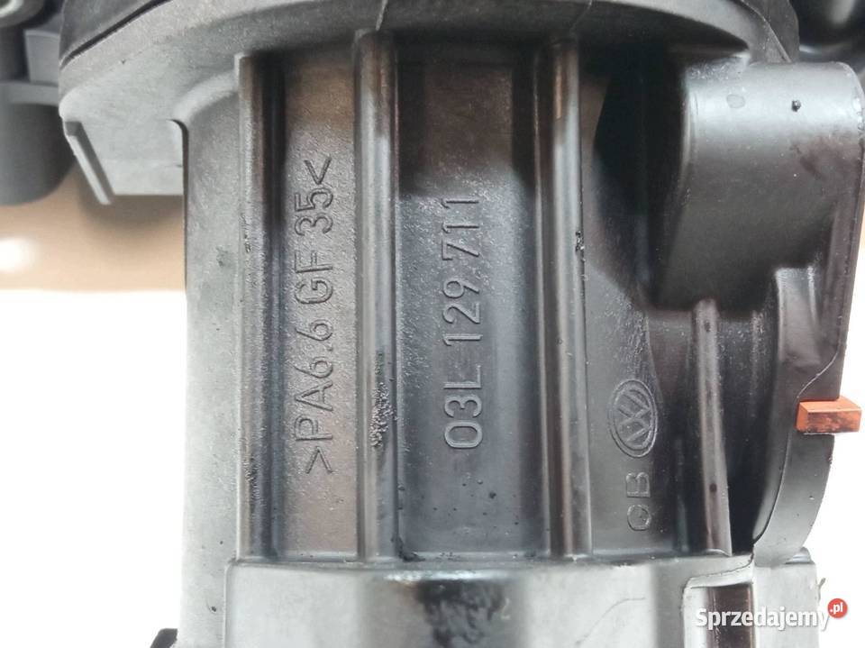 KOLEKTOR SSĄCY 03L129711 16 TDI Seat Altea I sprzedam