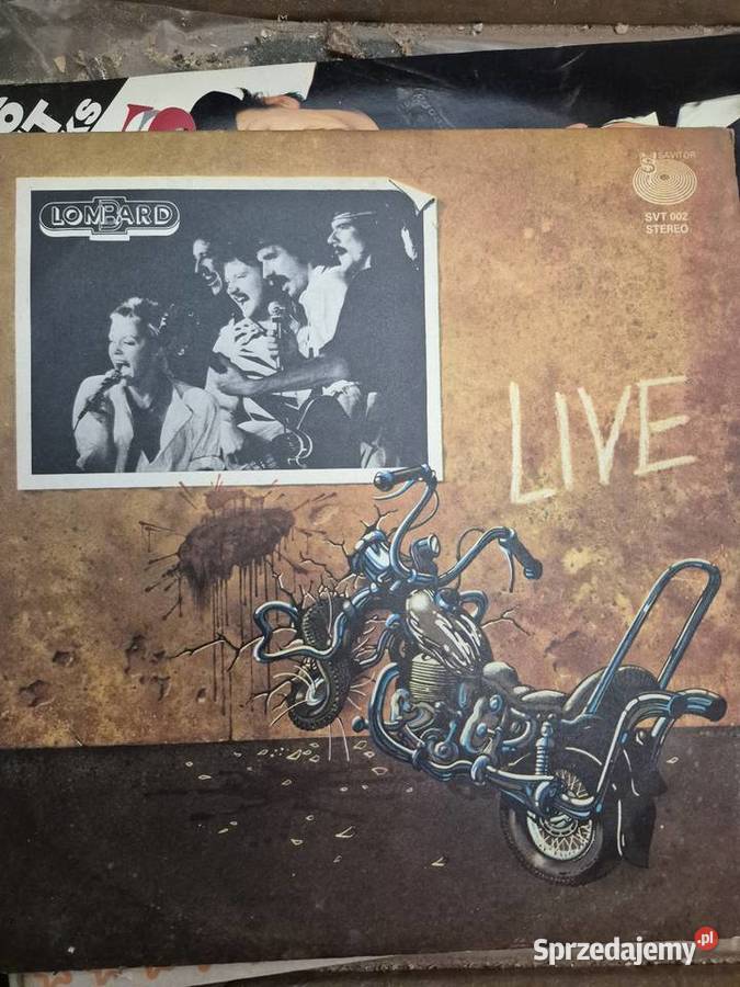 45 płyt winylowych płyta winylowa Ścibórz