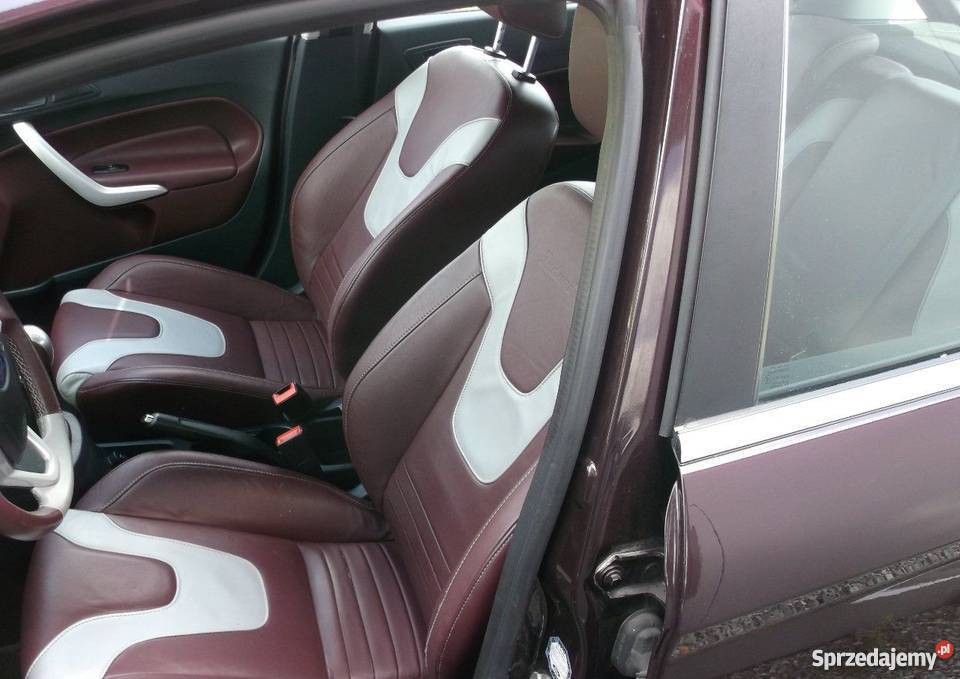 Ford Fiesta Mk7 Motoryzacja śląskie