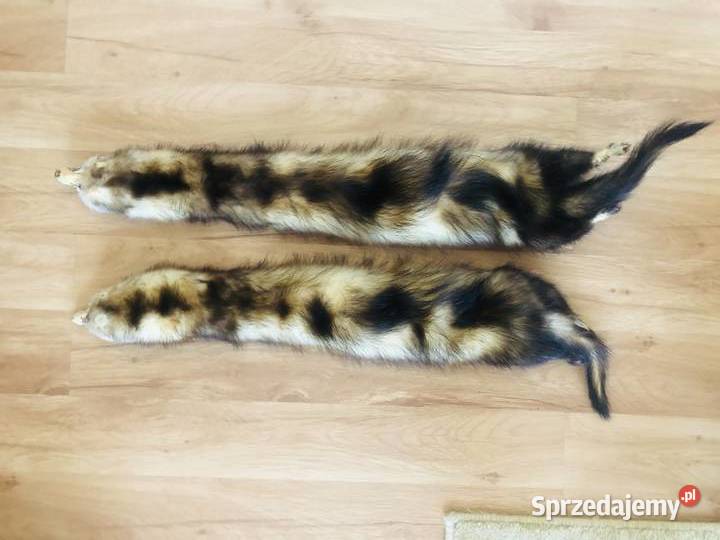 Szalik kożuszek kołnierz z tchórzofretki futerko Uniseks Łódź