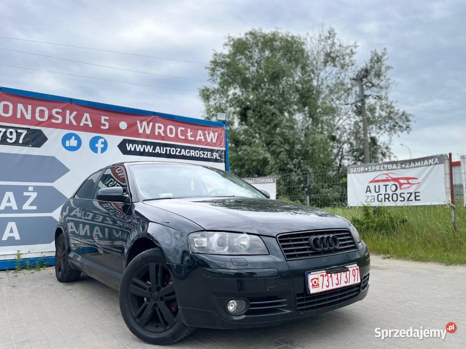 Audi A3 8p 20 TDI Alufelgi Klimatyzacja Radio Motoryzacja
