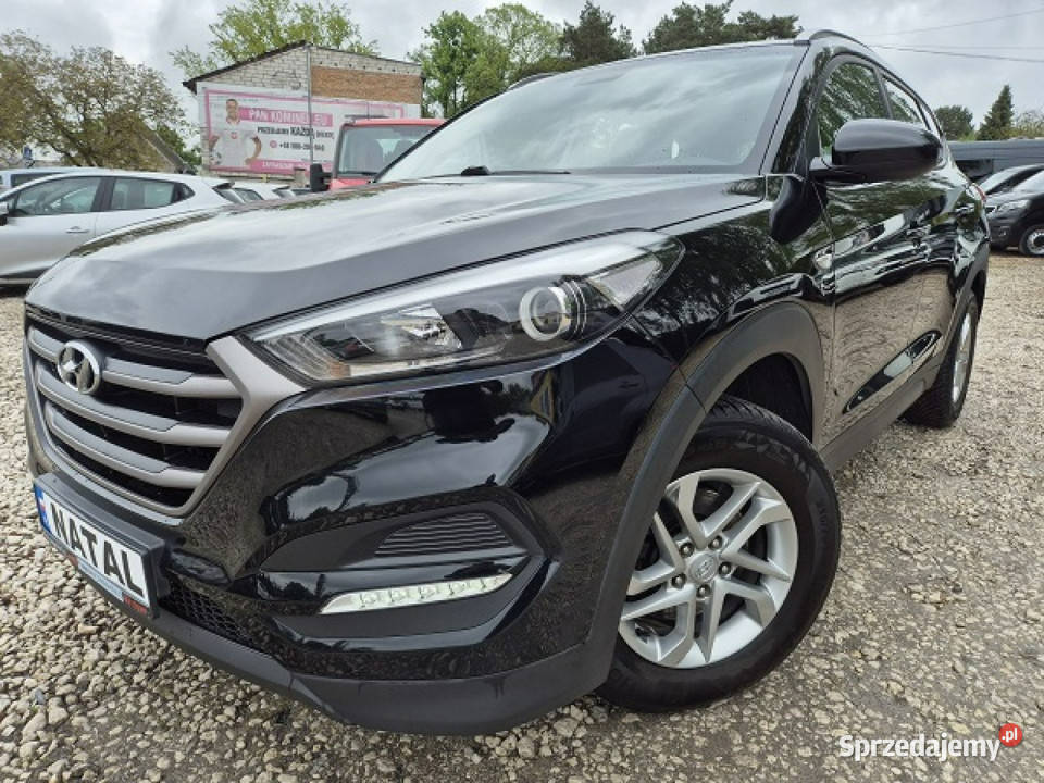Hyundai Kona Super stan Model 2021 I 20172023 Kona Bydgoszcz