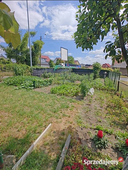 Tanie 3pokojowe mieszkanie bez czynszu idealne Nieruchomości Bierutów