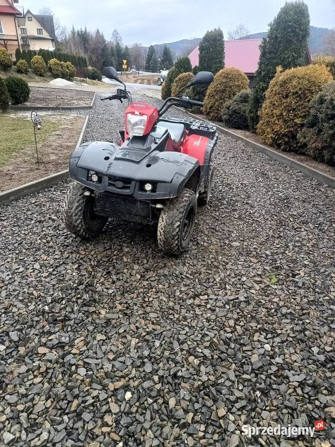 Zarejestrowany quad Bashan 250 wał Kardana hak Motocykle, skutery, quady Zamieście