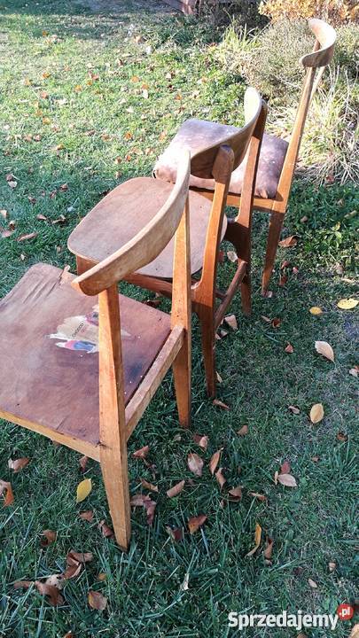 Unikatowe Krzesła Prl Hałas Zieliński Stolarskie Wrocław