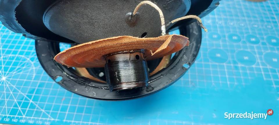 Naprawa Regeneracja Głośników Wymiana Zawieszeń