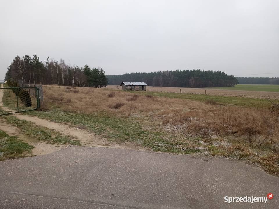Działka budowlana 2695m2 w Lubowidzu woj budowlana Lubowidz